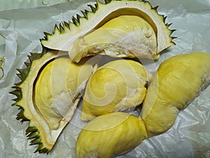 Durian, durio ziberthinus