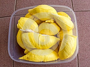 durian flesh yellow fruit delicious fresh illustration