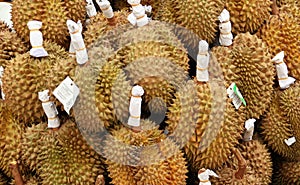 The durian, the forbidden fruit. Fruit exposed for sale.