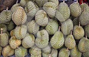 Durian Fruit