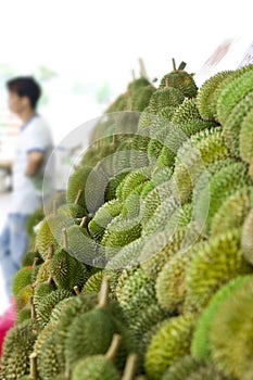 Durian fruit