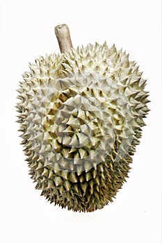 Durian fruit