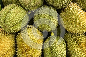 Durian fruit