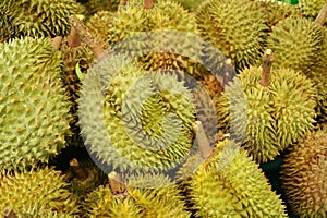 Durian Fruit Background