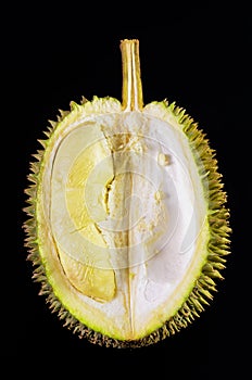 Durian fruit basket on black background