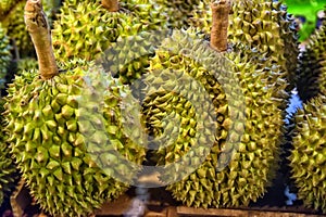 Durian fruit on basket