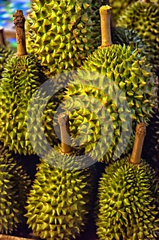 Durian fruit