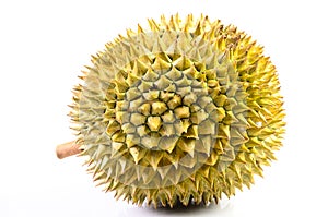 Durian fruit basket on a white