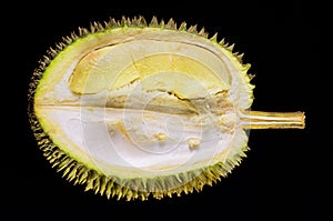 Durian fruit on black background