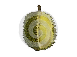 Durian fruit cut in half isolated on white background.