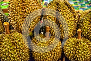 Durian fruit