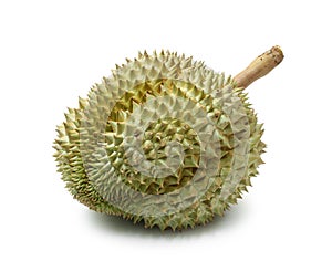 Durian fruit