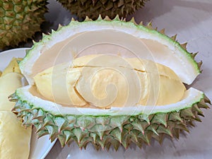 Durian is a fruit that has been referred to as the king of fruits of South East Asia