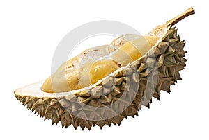 Durian fruit isolated on white background