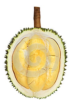 Durian fruit