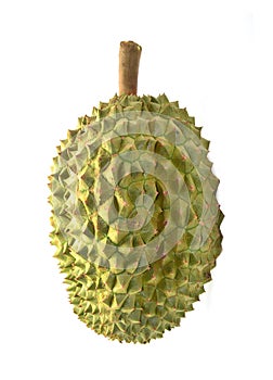 Durian fruit