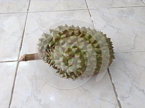 Durian fruit