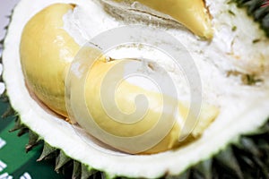 Durian fruit, King of fruits with yellow meat