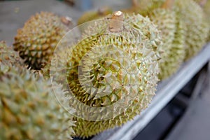 Durian fruit on market