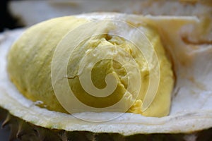 Durian fruit is a popular seasonal fruit, sweet, delicious