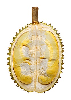 Durian fruit portion isolated