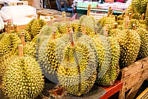 The durian is the fruit of several tree