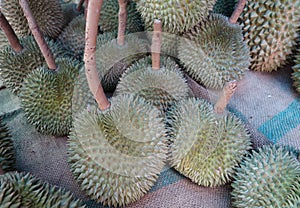 Durian fruit
