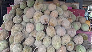 DURIAN FRUIT TROPICAL