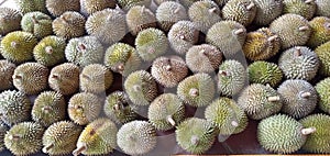 Durian Fruits