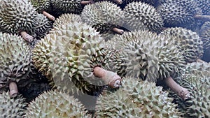 Durian fruits photo