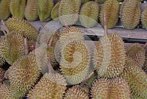 Durian fruits in market