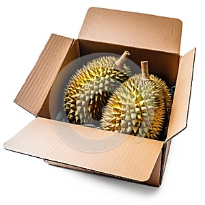 Durian fruits in wooden crate isolate on white background.