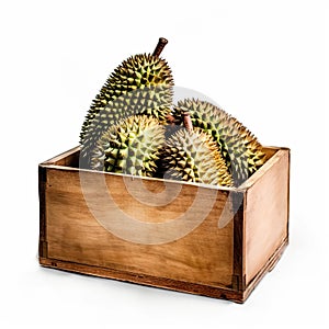 Durian fruits in wooden crate isolate on white background.