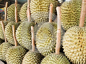 Durian. Group of durian fruit in Thailand market