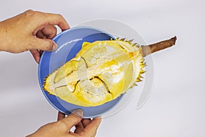 Durian half on blue plate with woman hands on white background. Exotic fruit durian flat lay banner template