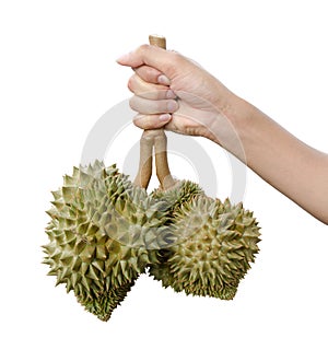 Durian on hand