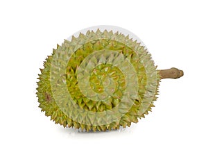 Durian isolated on white background