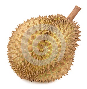 Durian isolated on white background