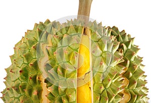 Durian isolated on white background