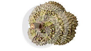 Durian isolated from white background. Durians is the king of fruits, asian fruit of tropical. Thai sweet food