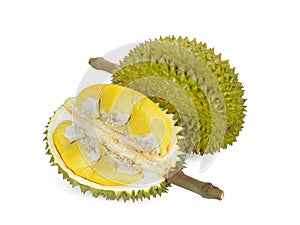 Durian isolated on white background, king of fruits