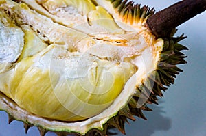 Durian, the King of fruit