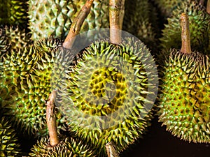 Durian, King of Fruit
