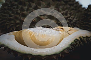 Durian is a king of fruit in Thailand and asia