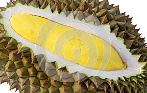 Durian is a king of fruit  in Thailand. Durian the king of fruits The yellow color is on the white background. Ripe durian tropica