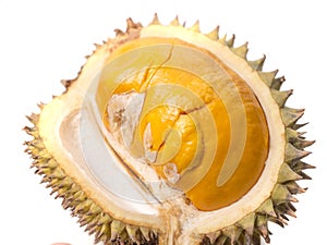 Durian Lai, Durio Kutejensis, Yellow Durian of Borneo Kalimantan