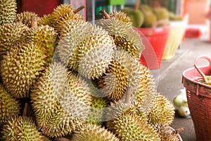 Durian in the market.Taste of a durian fruit buffet festival