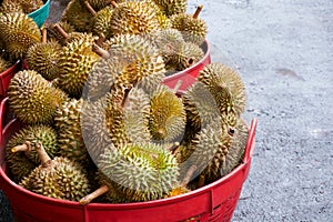 Durian in the market.Taste of a durian fruit buffet festival