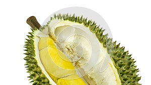 Durian montong, smelly Thai fruit on isolated white background