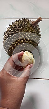 Durian . Musang king. Thorny fruit. Fruits